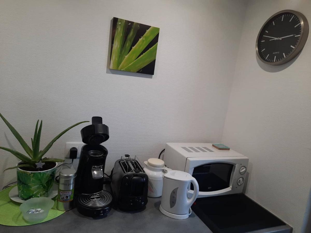 Studio Soleil Au Hohwald Exteriér fotografie