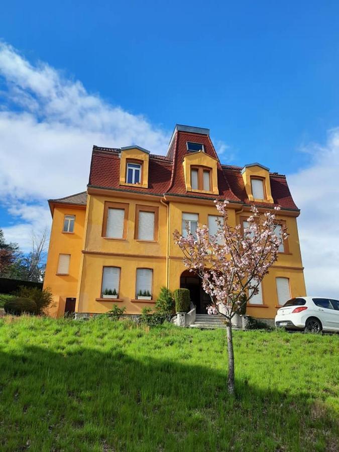Studio Soleil Au Hohwald Exteriér fotografie