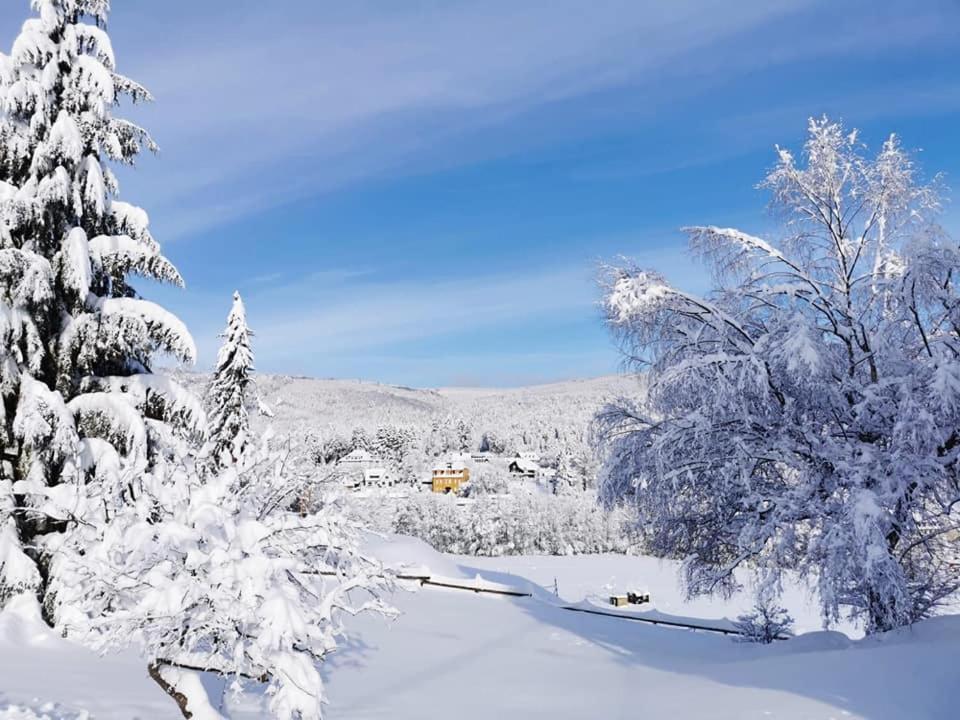Studio Soleil Au Hohwald Exteriér fotografie
